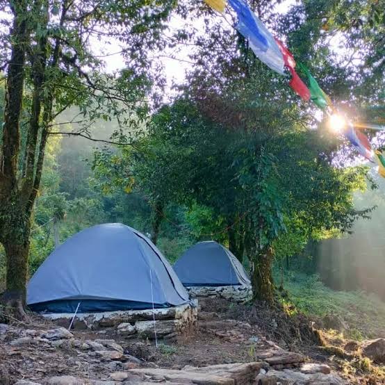Camping